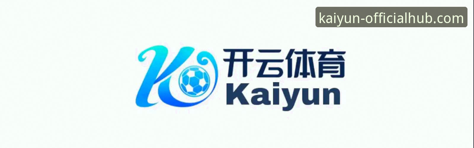 开云体育平台全面评测：kaiyun平台安装教程与用户体验深度分析